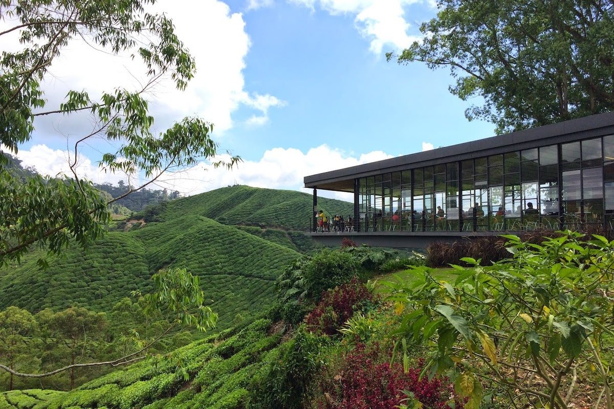 boh tea centre