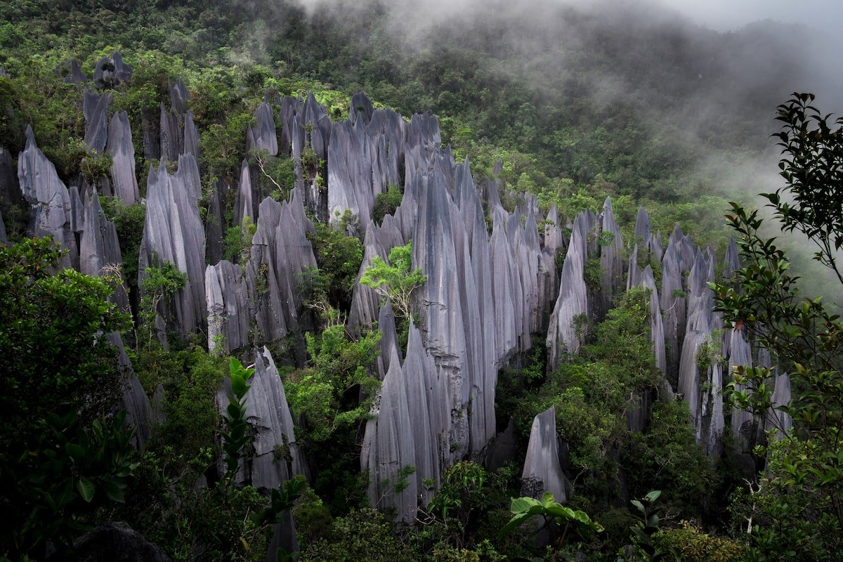 Gunung Mulu National Park