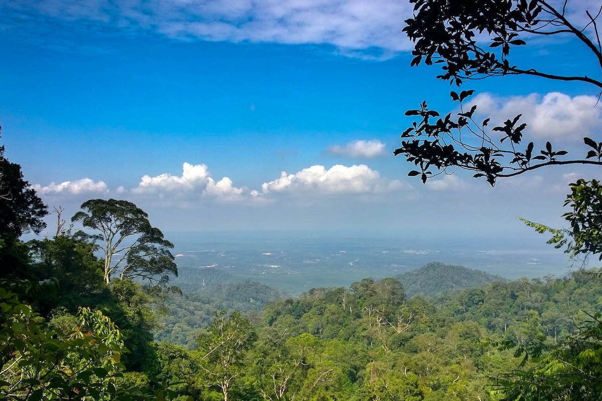 gunung pulai recreational forest
