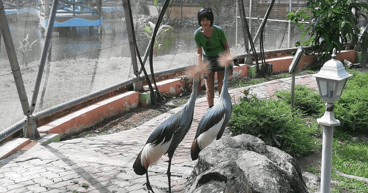 labuan bird park