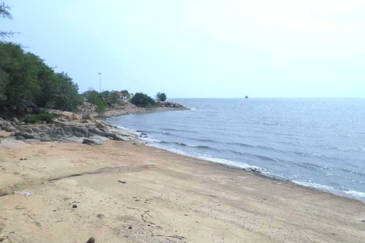 pantai minyak beku