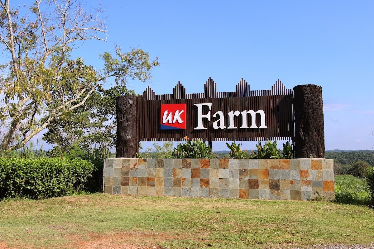 uk farm agro resort kluang