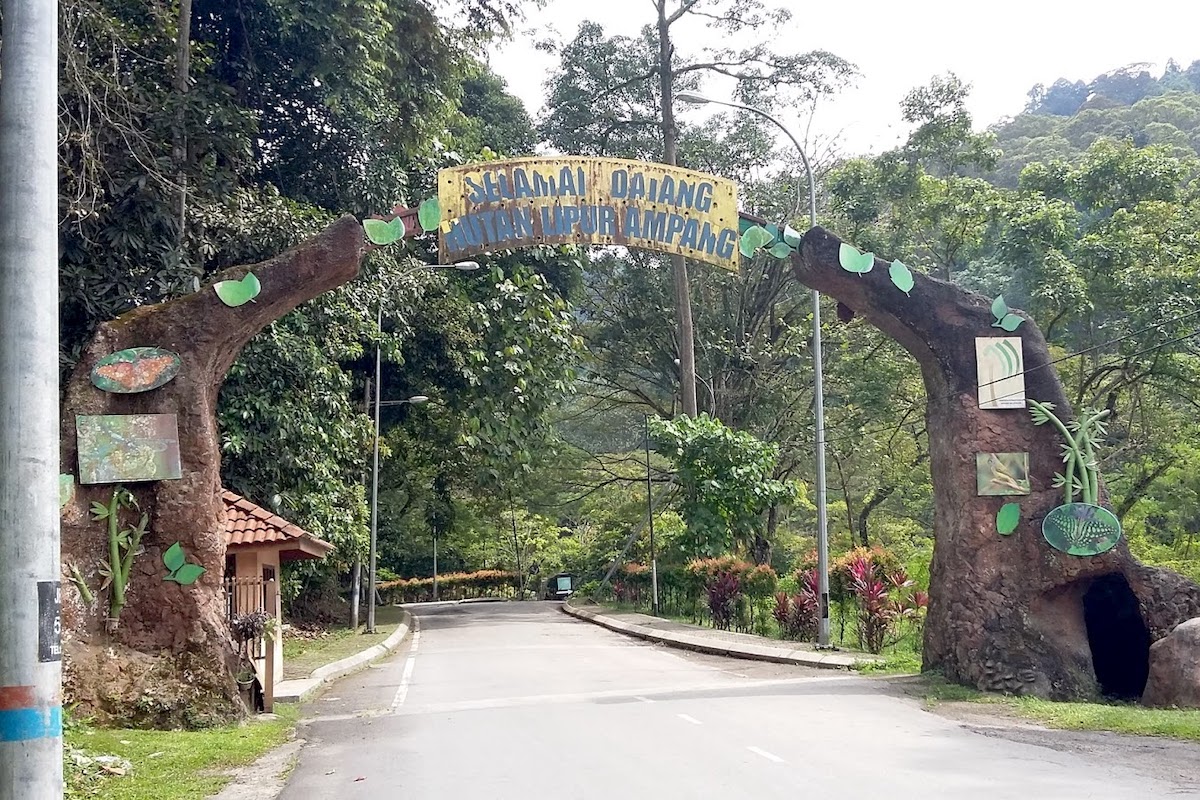 Ampang Recreational Forest (Taman Rimba Ampang)