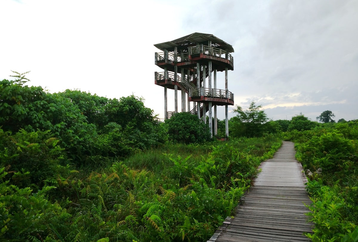 Bukit Lima Nature Reserve, Sibu