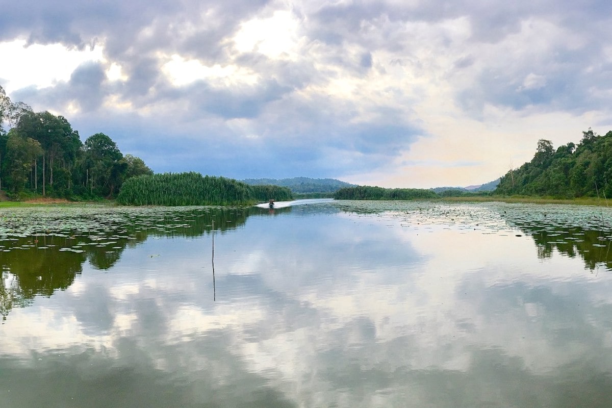 Tasik Chini