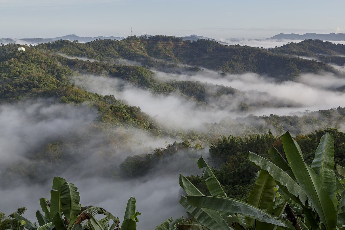 Taman Negara Banjaran Crocker