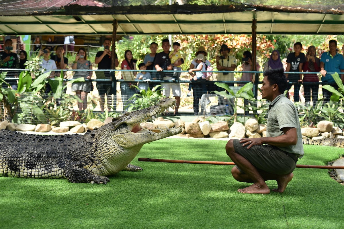 Crocodile Adventureland Langkawi