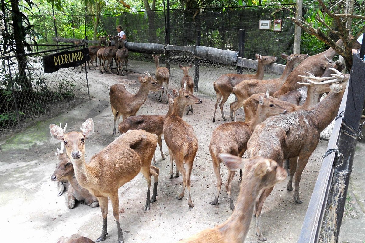 Deerland Park, Temerloh