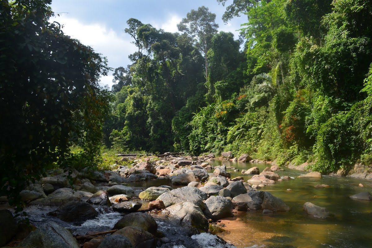 Endau-Rompin National Park