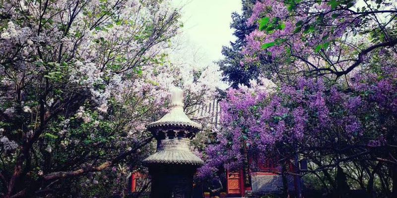 Fayuan Temple