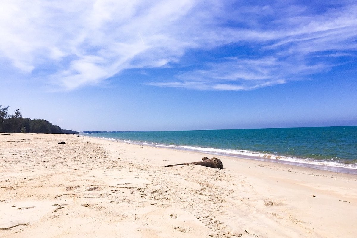 Beaches in Kelantan (Pantai di Kelantan)