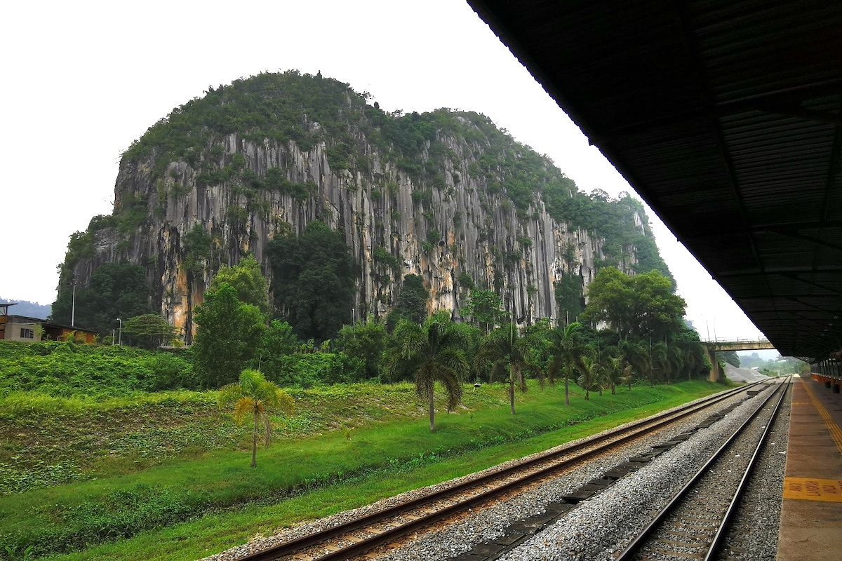 featured gua musang