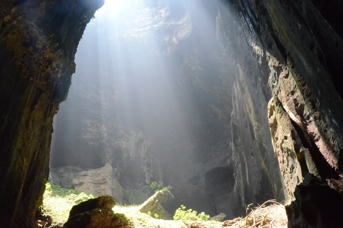 Gomantong Caves