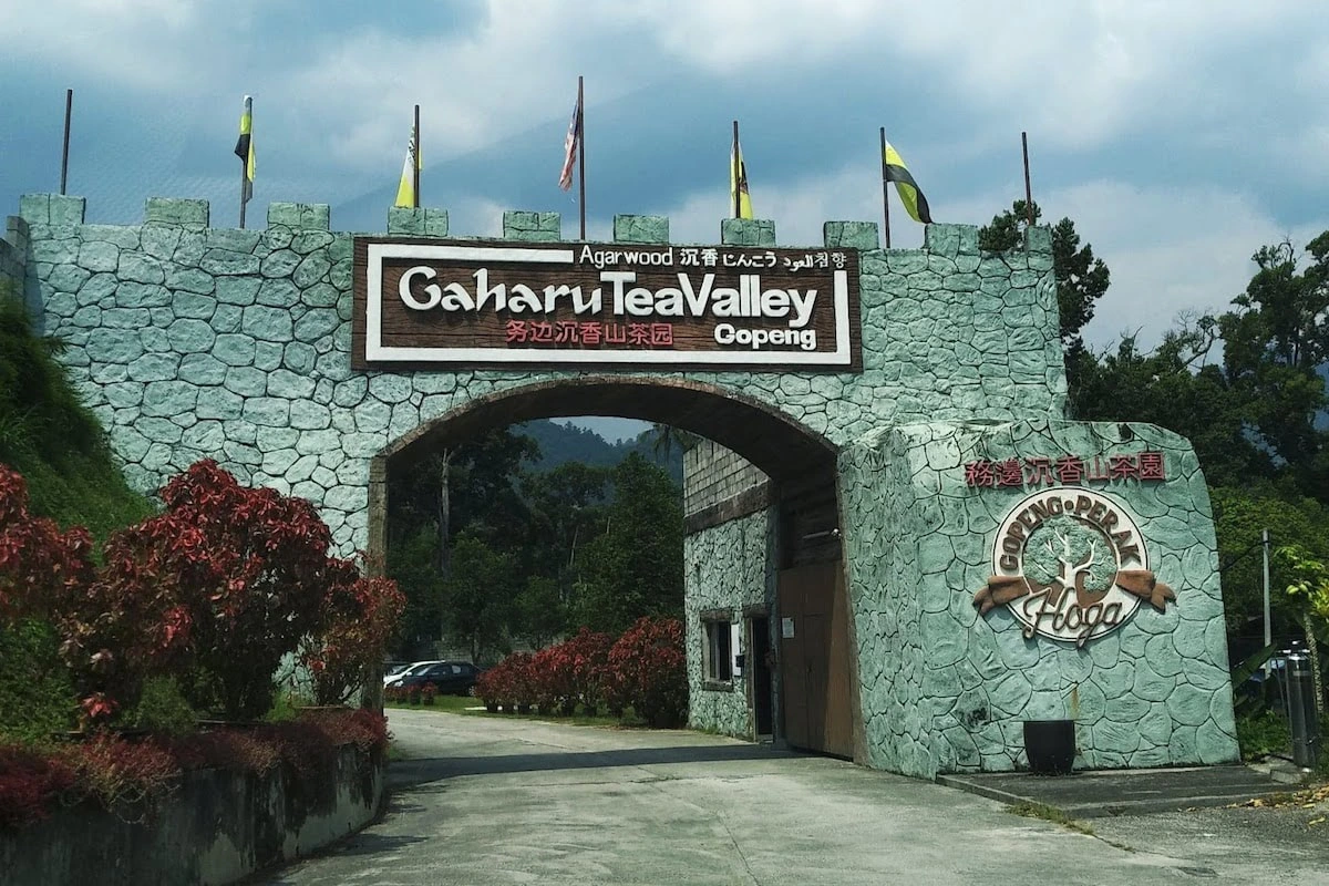 HOGA Gaharu Tea Valley Gopeng
