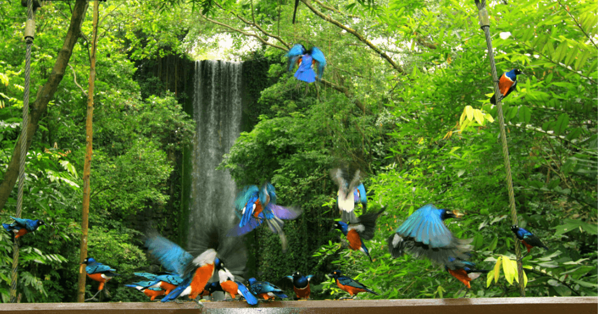 Jurong Bird Park