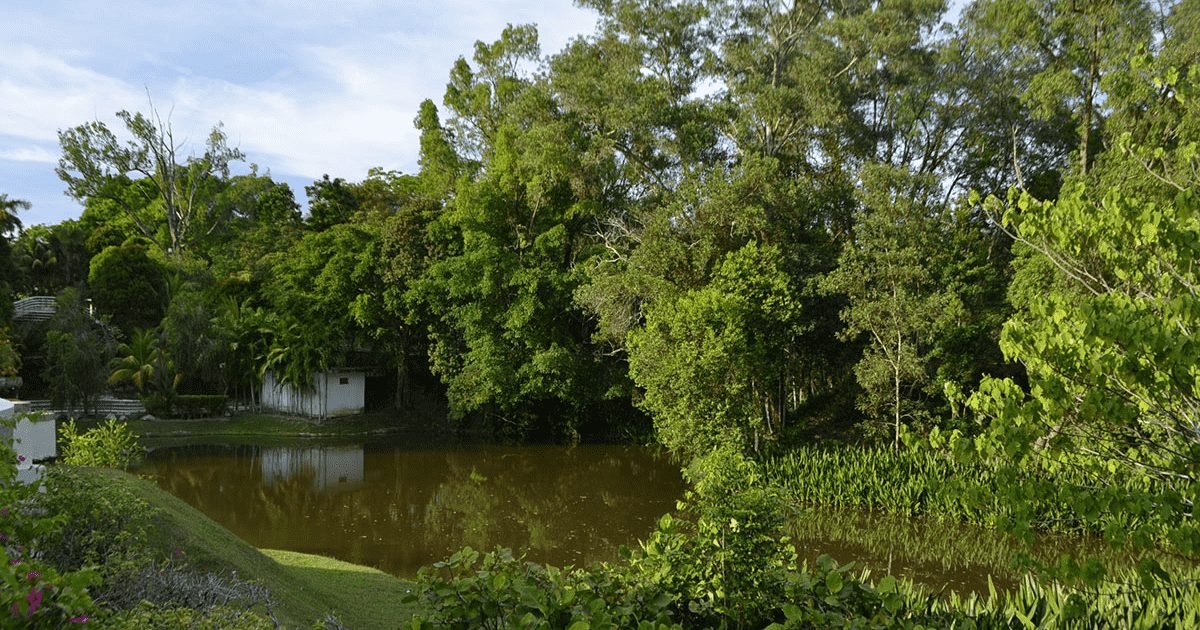 Labuan Botanical Garden