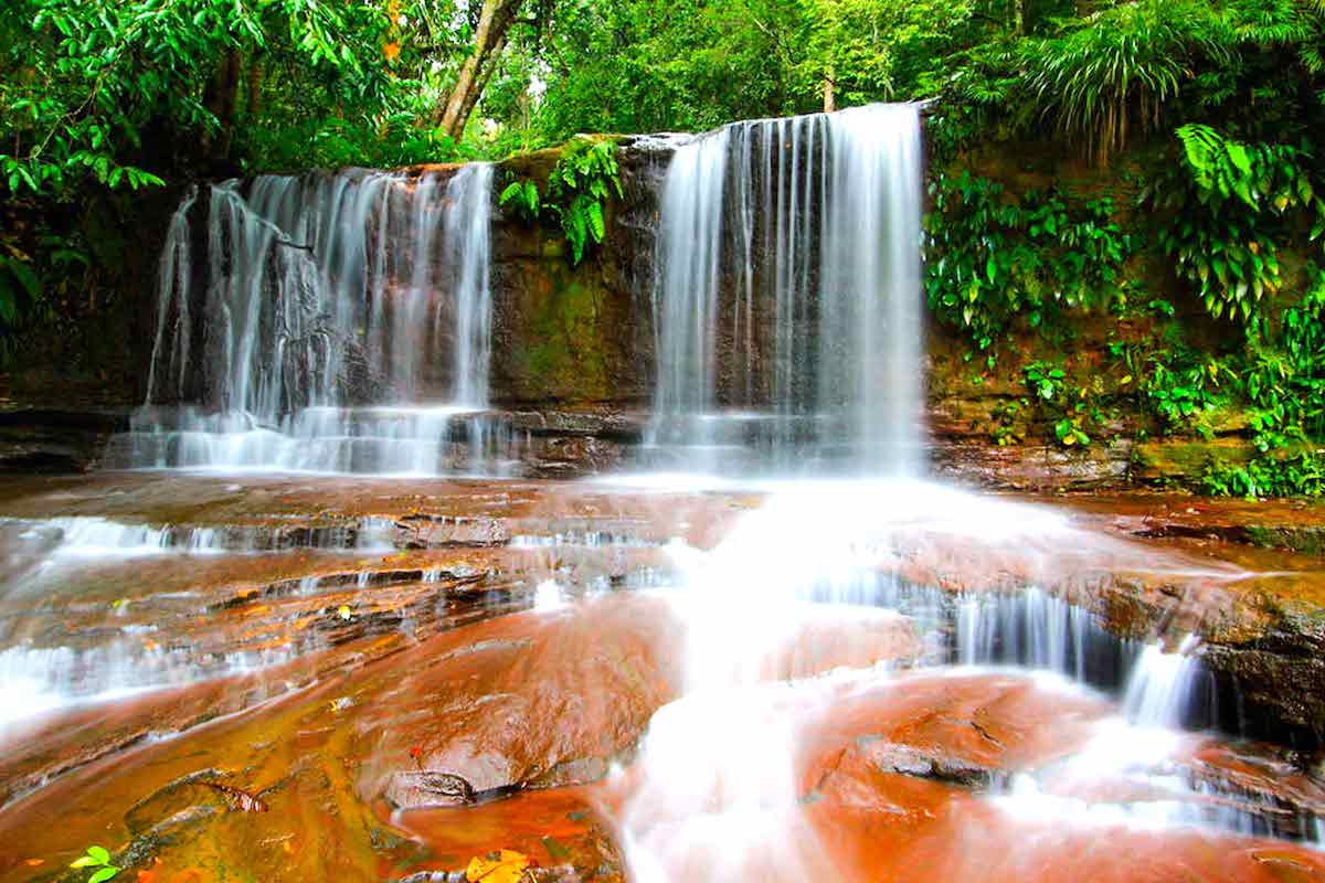 Lambir Hills National Park