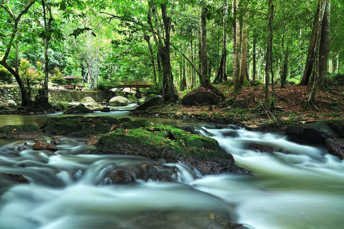 Lentang Forest Recreational Park