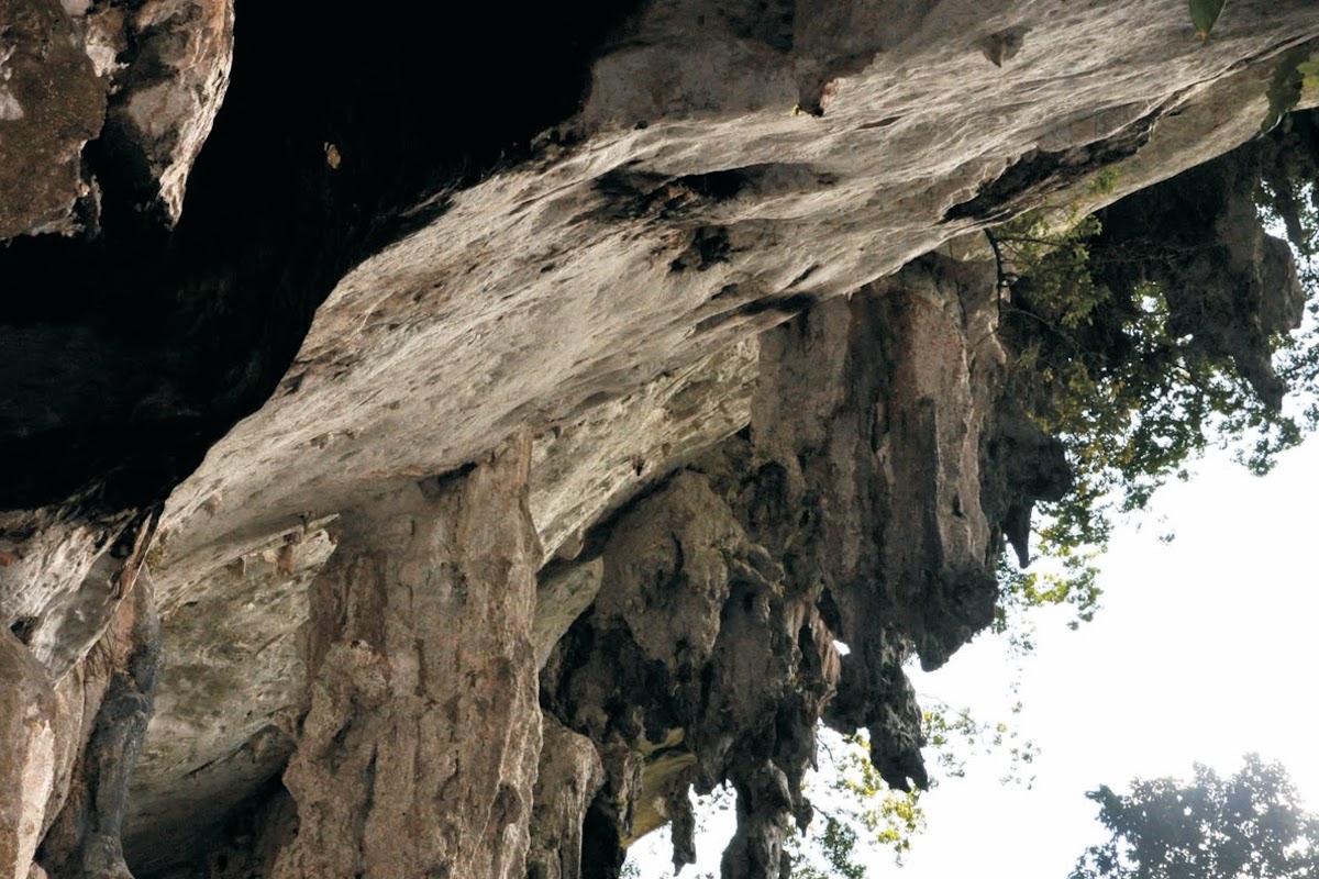 Madu Cave (Gua Madu)