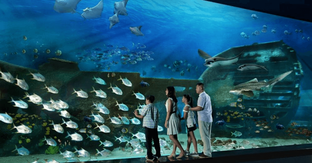 Marine Life Park