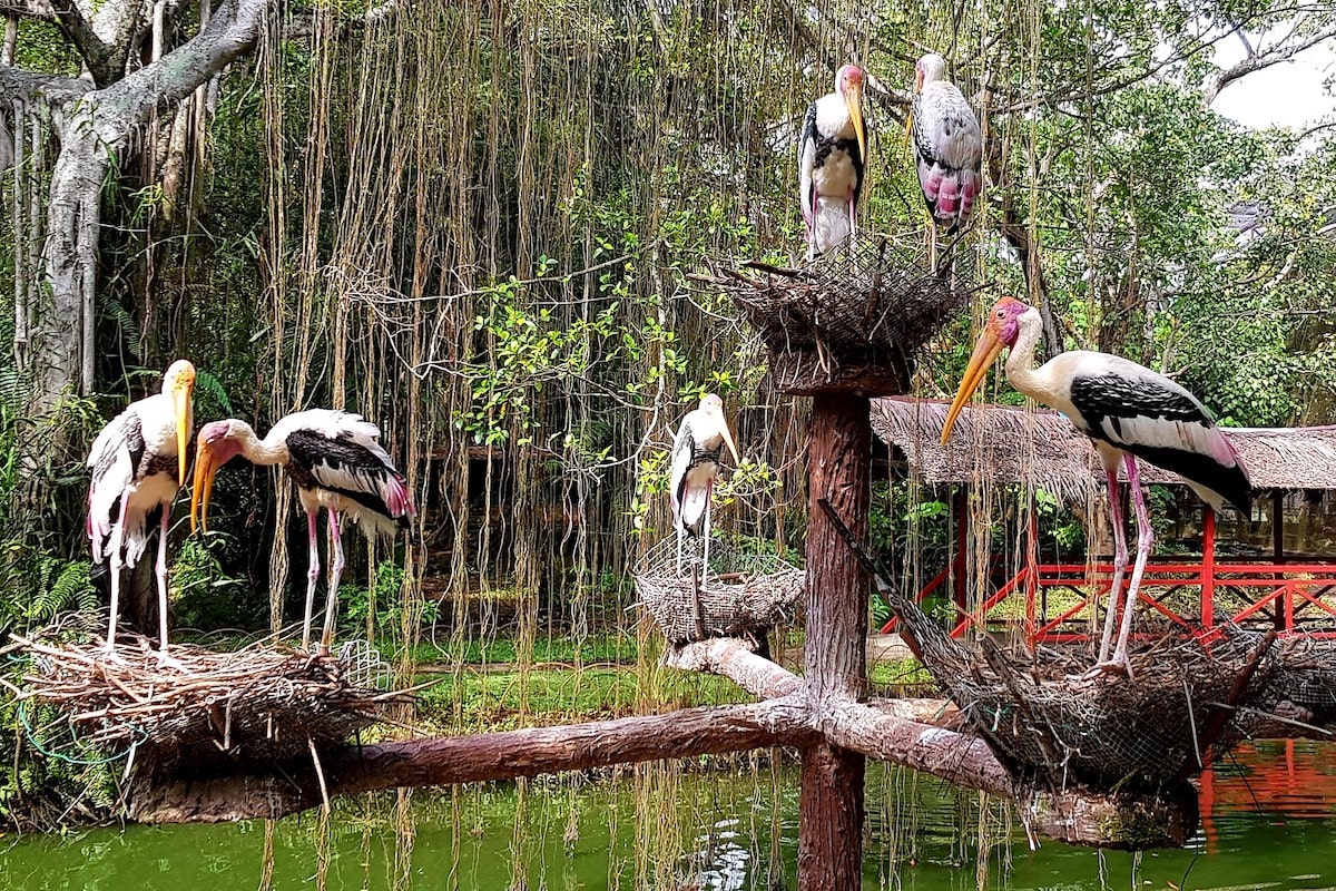 Penang Bird Park