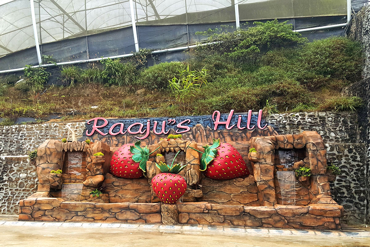 Ladang Strawberi Bukit Raaju