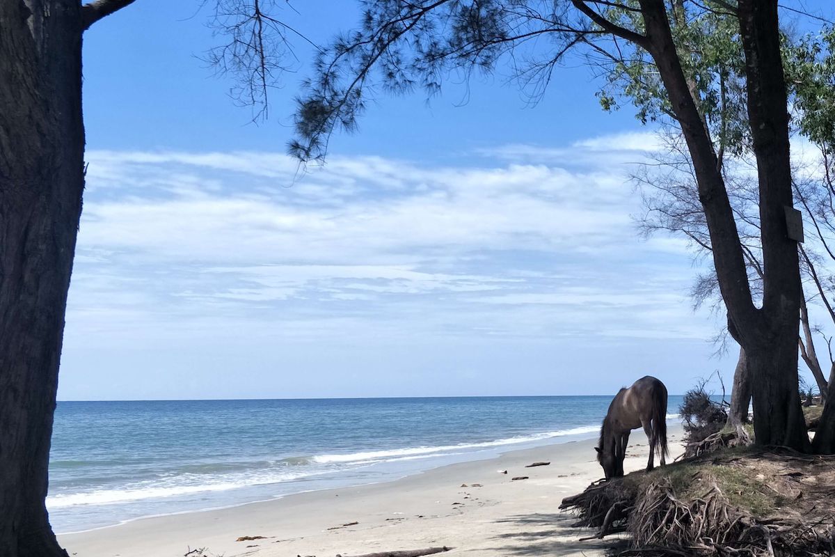 Sabandar Beach (Pantai Sabandar)