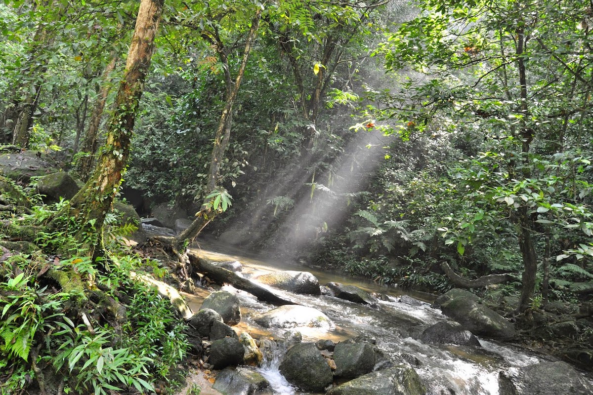 Taman Negeri Selangor