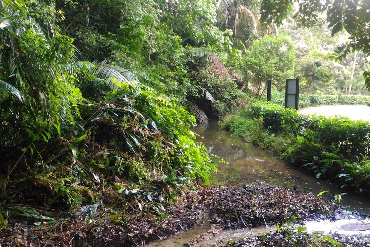 Soga Perdana Amenity Forest (Hutan Lipur Soga Perdana)