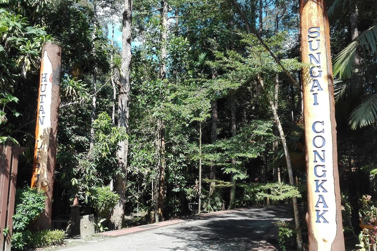 Sungai Congkak Recreational Forest