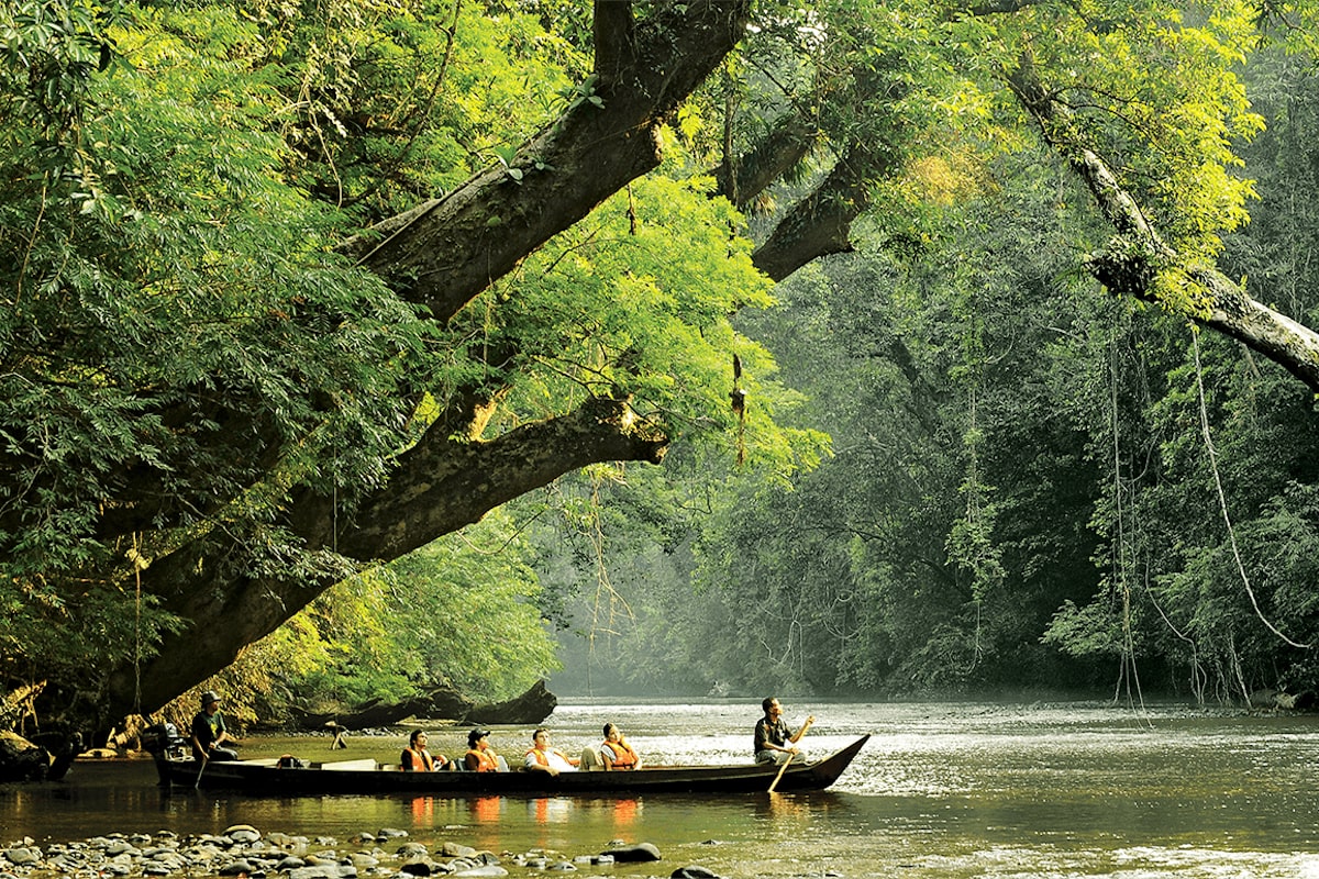 Pahang National Park