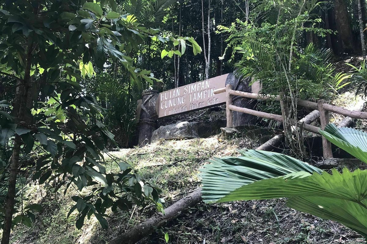 Hutan Simpan Gunung Tampin