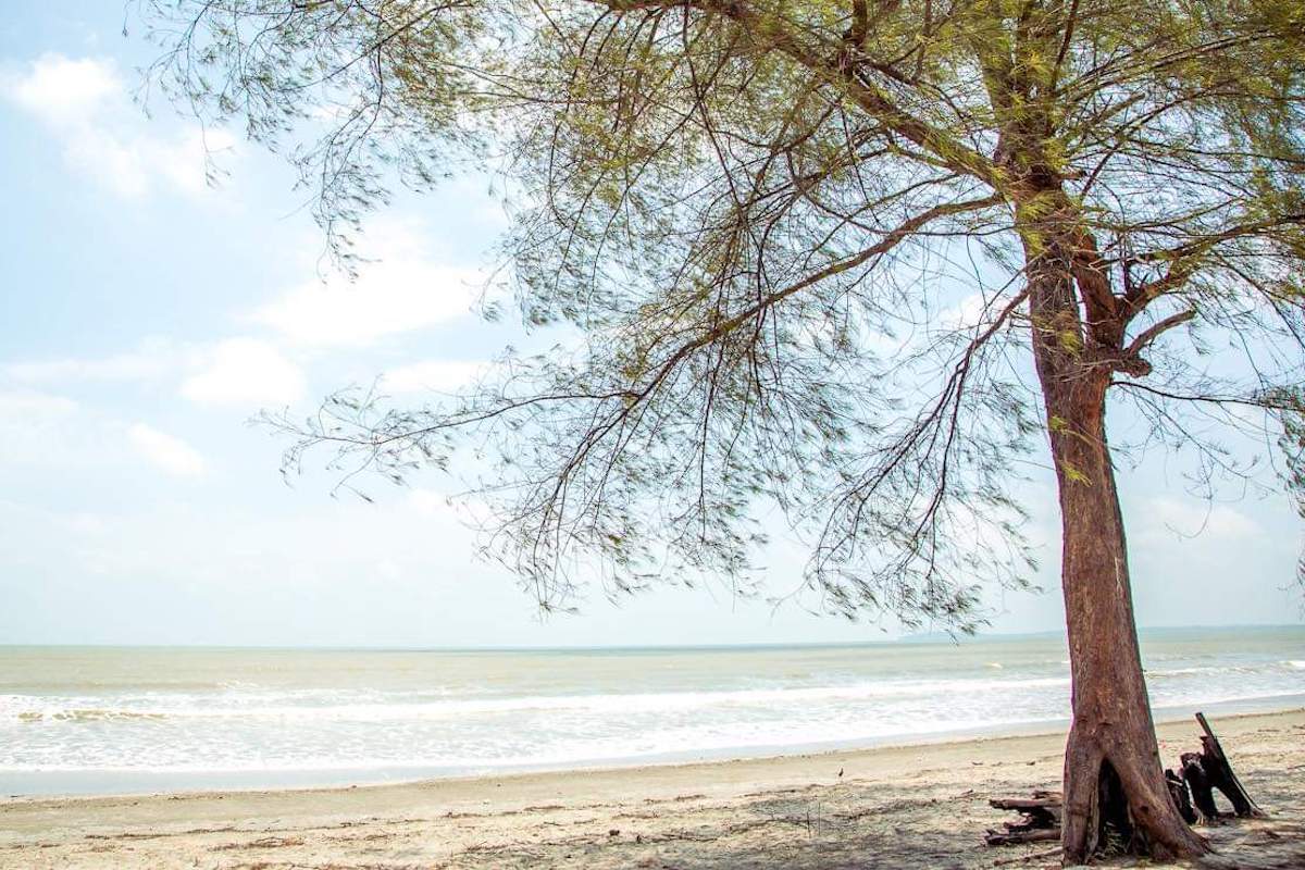 Teluk Mahkota Beach (Pantai Teluk Mahkota), Kota Tinggi