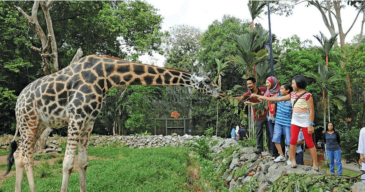 Zoo Melaka